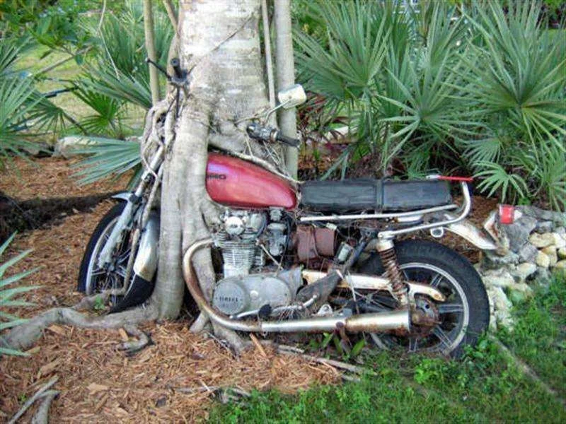 Wheres me bike..webp