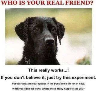 Who is your real friend.webp
