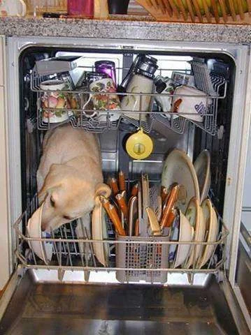 why ruin your dishwasher.webp