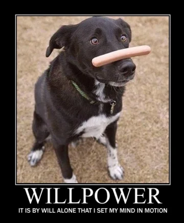 willpower.webp