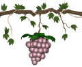 Wine_3.gif