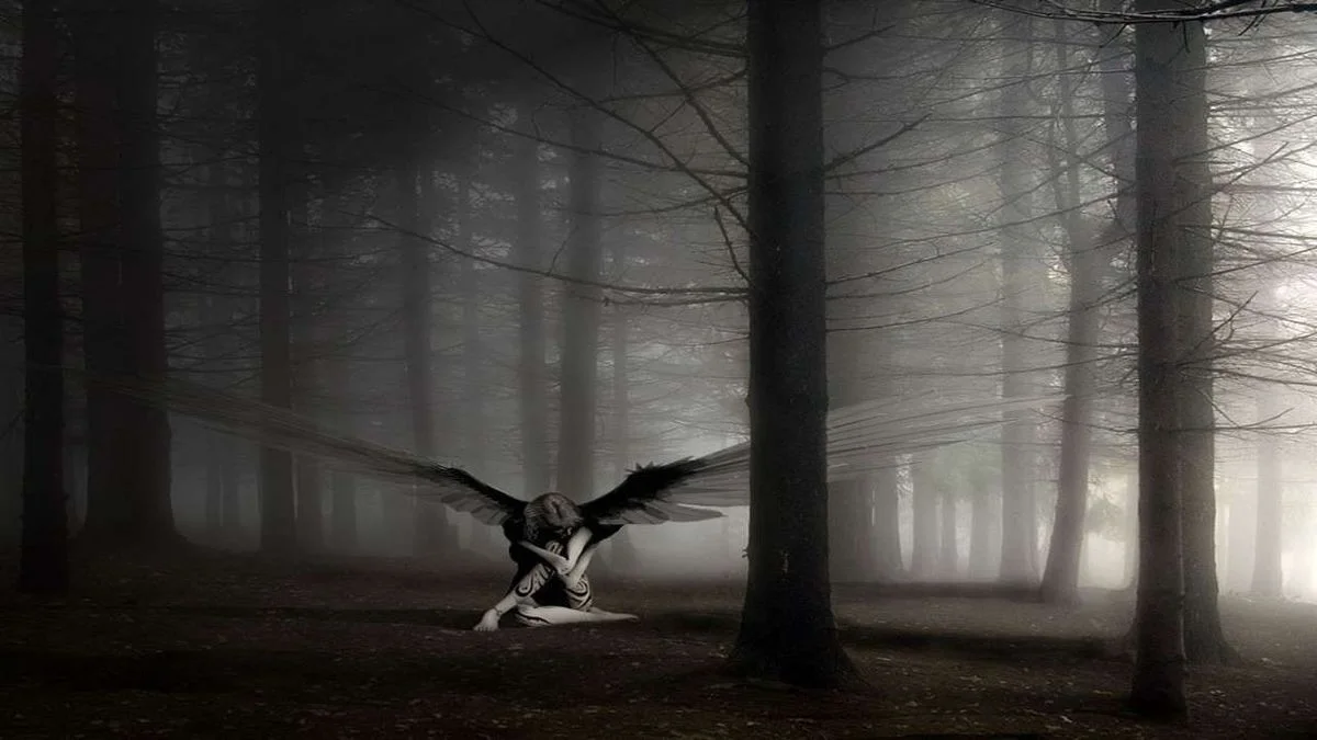 wings_in_solitude_732.webp
