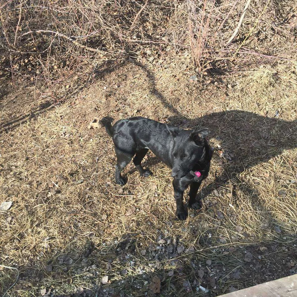 Winnie-e-collar-no-more.webp
