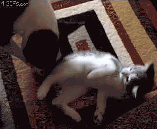Wipe Butt.gif