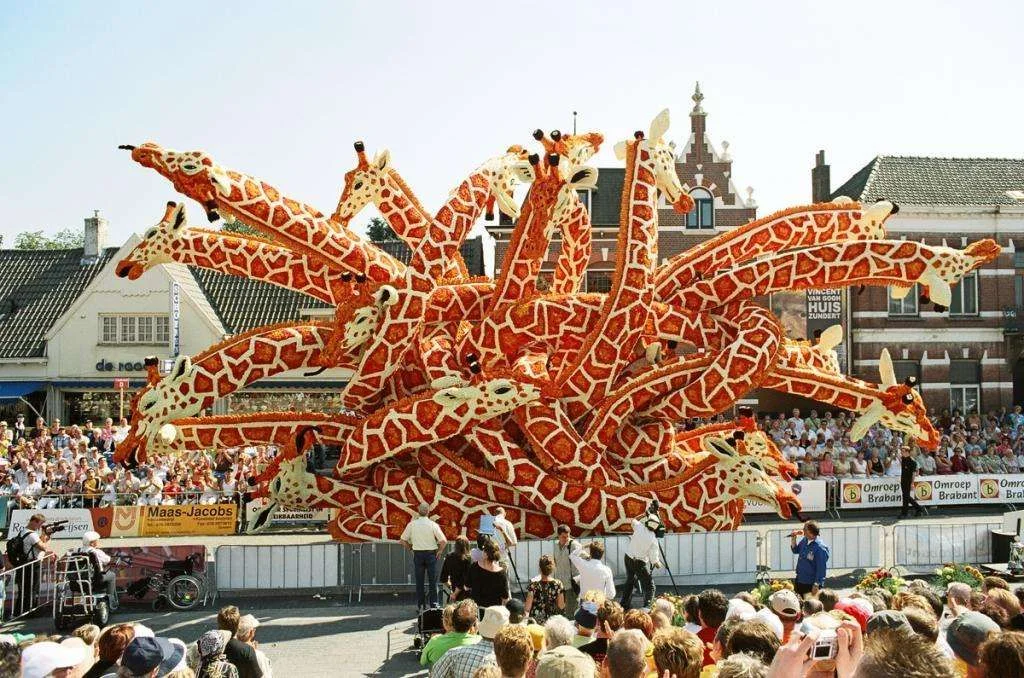 wirwar_bloemencorso-zundert.webp