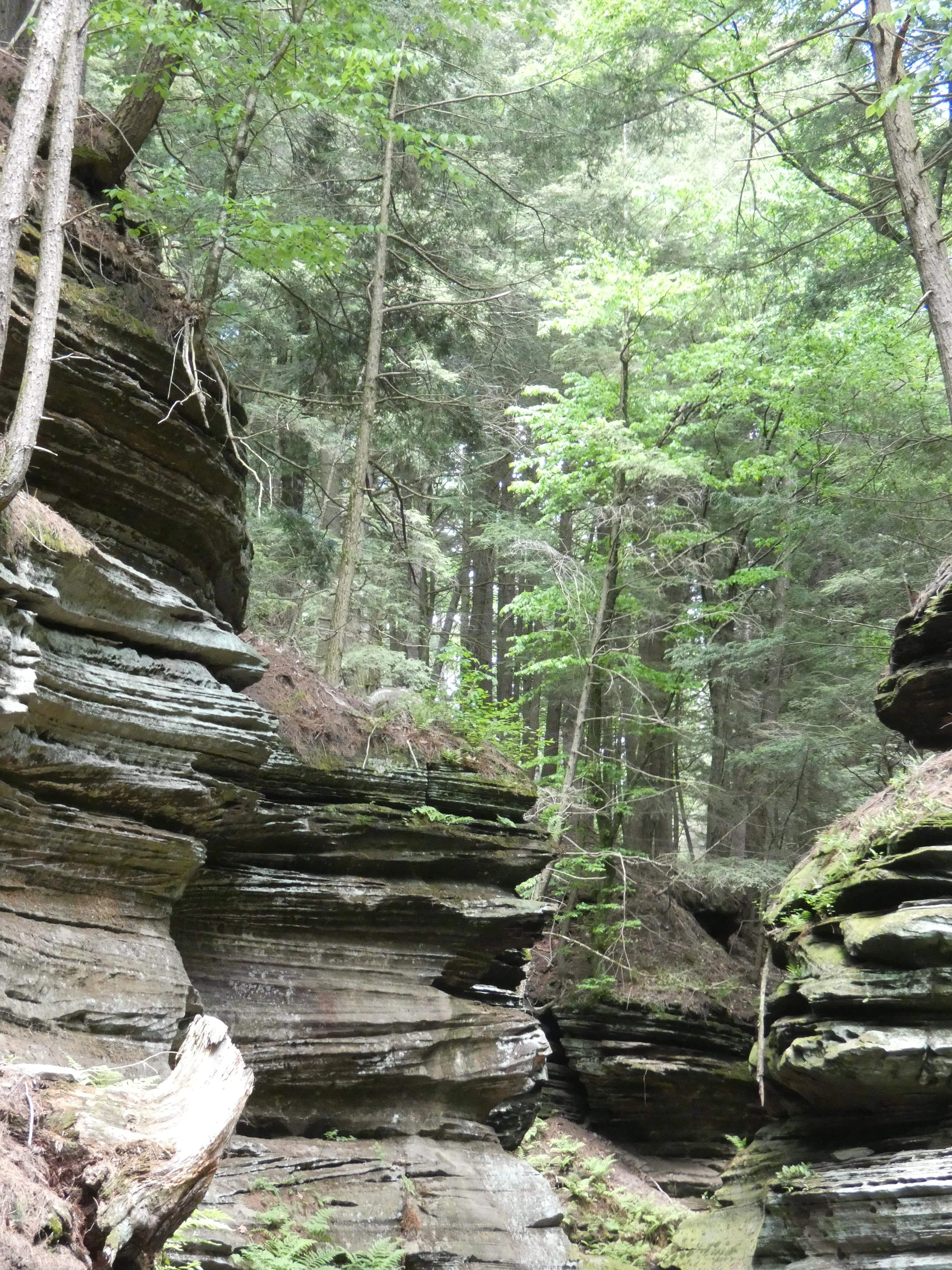 Wisconsin Dells.webp
