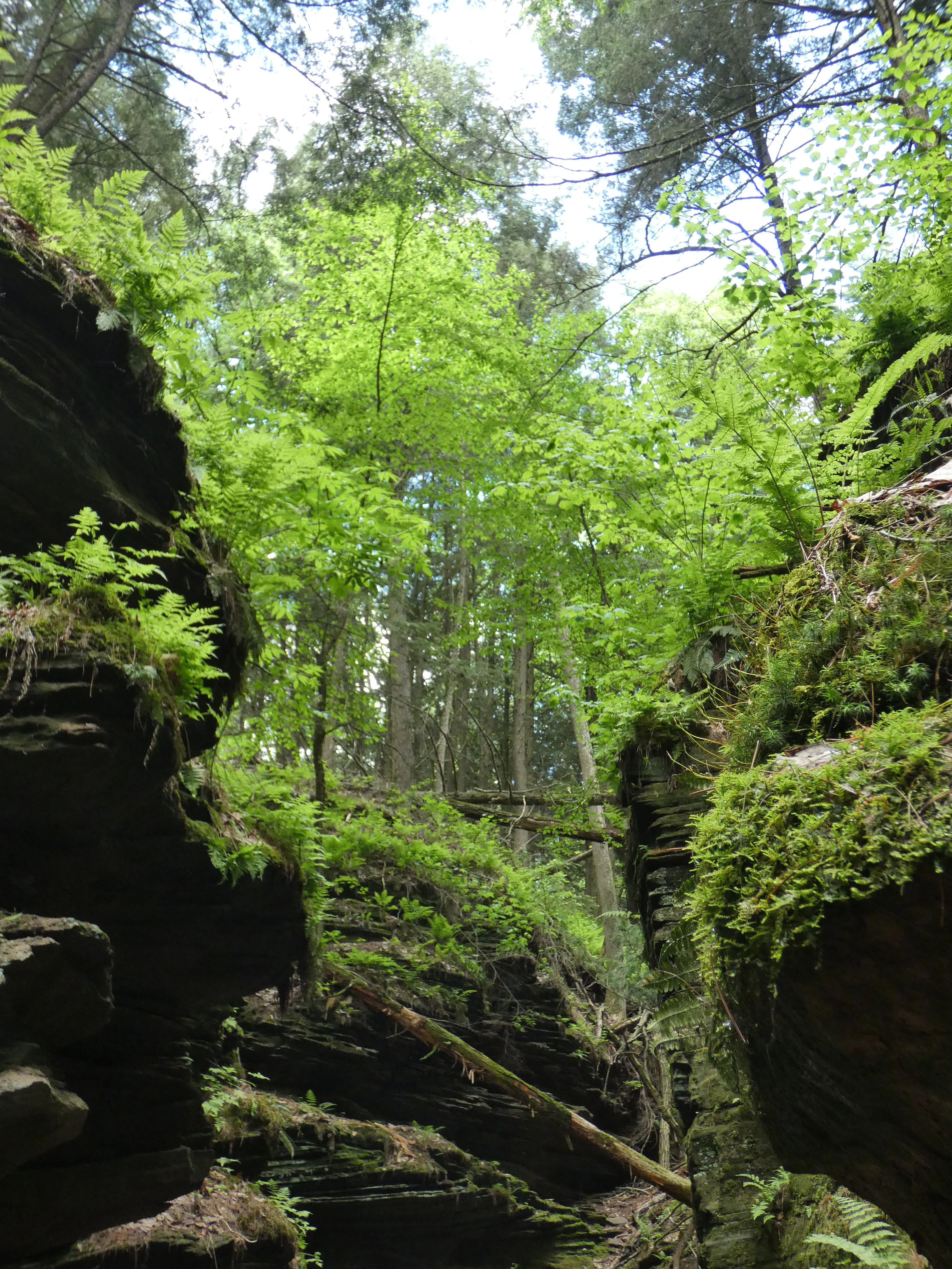 Wisconsin Dells_3.webp