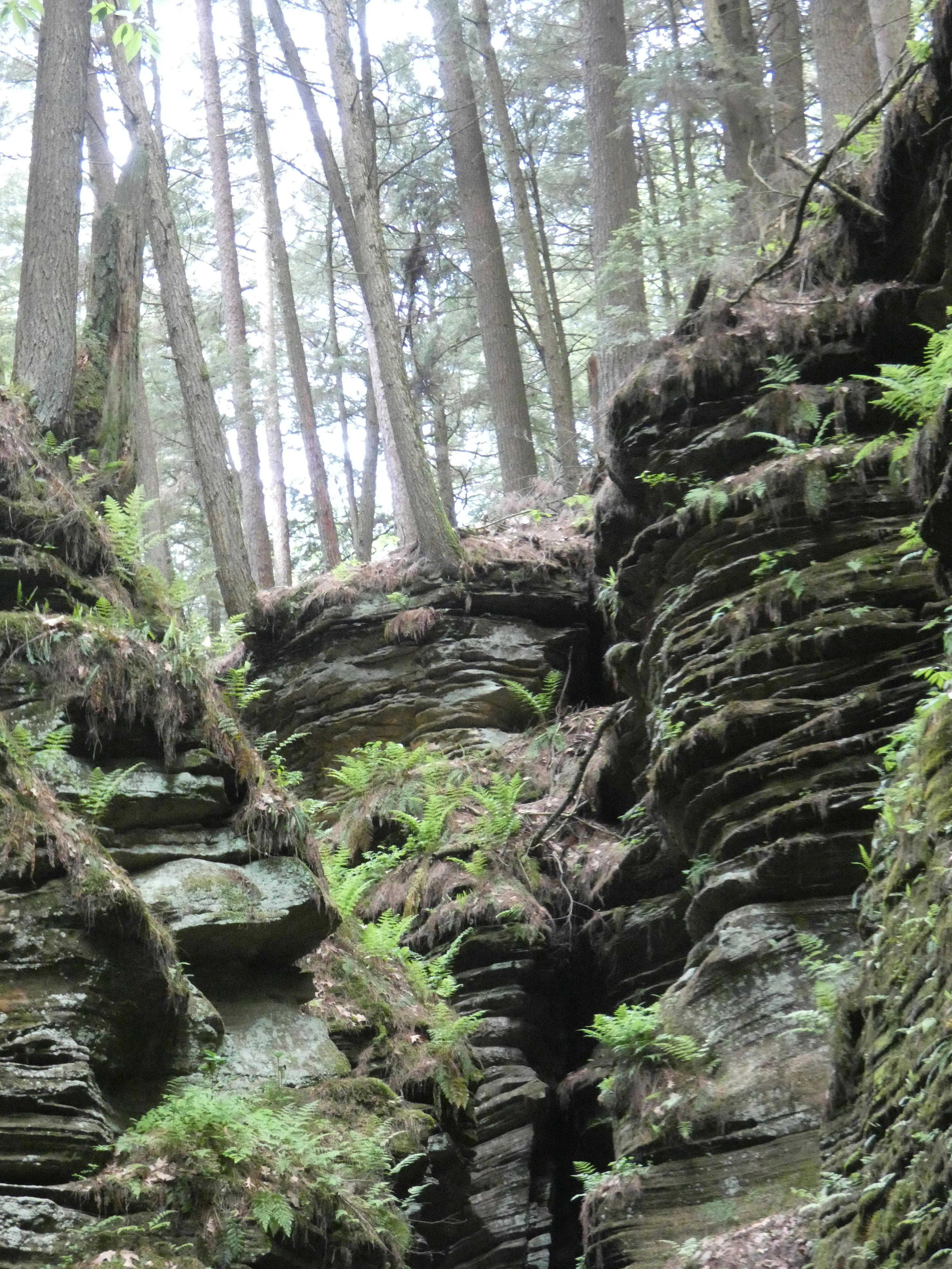 Wisconsin Dells_4.webp