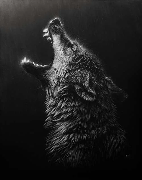 wolf 2.webp