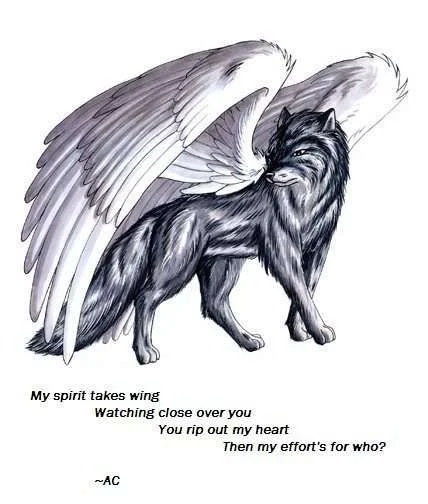 Wolf-3.webp