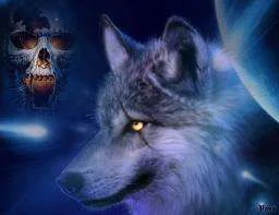 wolf.webp