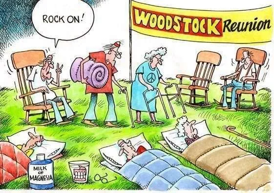 woodstock.webp