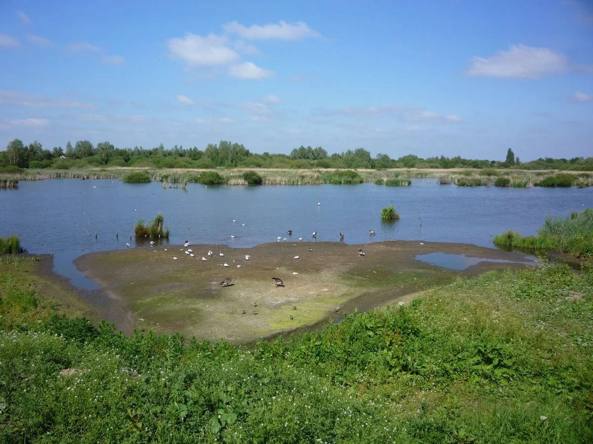 Woolston Eyes  012.webp