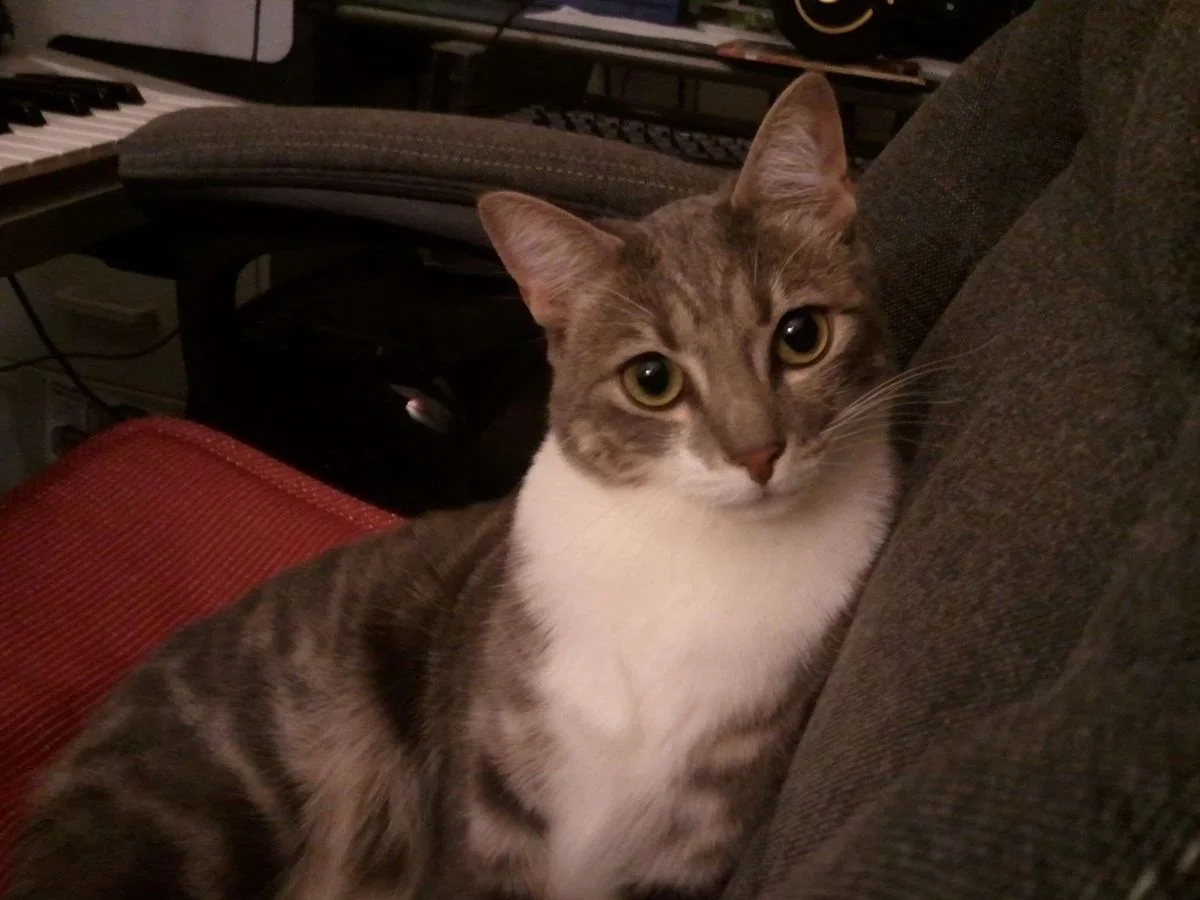 WP_000017.webp