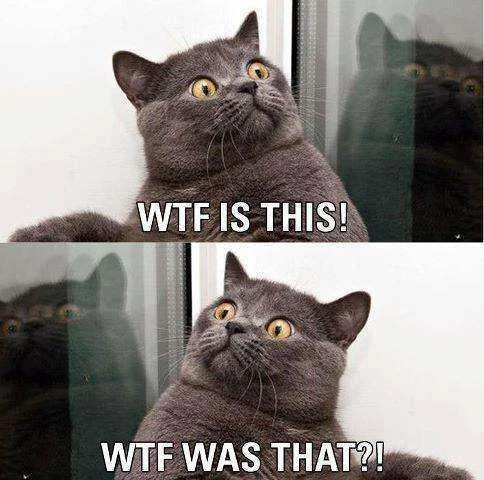 wtf.webp