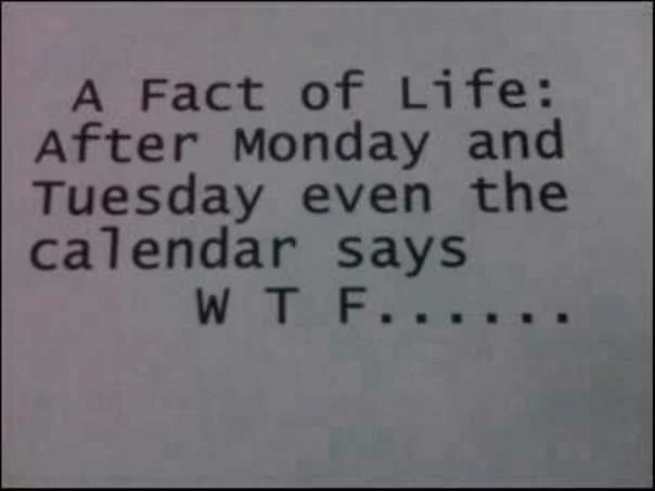 wtfweek.webp