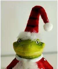 xmasfrog.webp