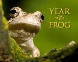 year of the frog.webp
