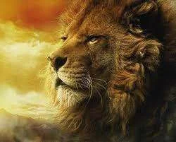 Yellow lion.webp