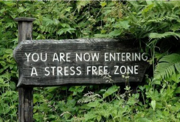 you are entering a stress free  zone with trees on a sign.webp