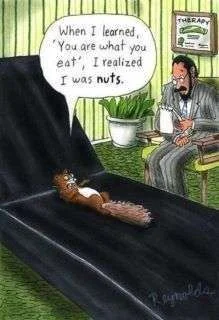 You are what you eat.webp