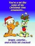 You\'re like my christmas ornaments.webp