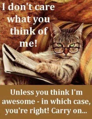 you think I am awesome.webp