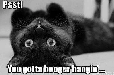 you_got-booger.webp