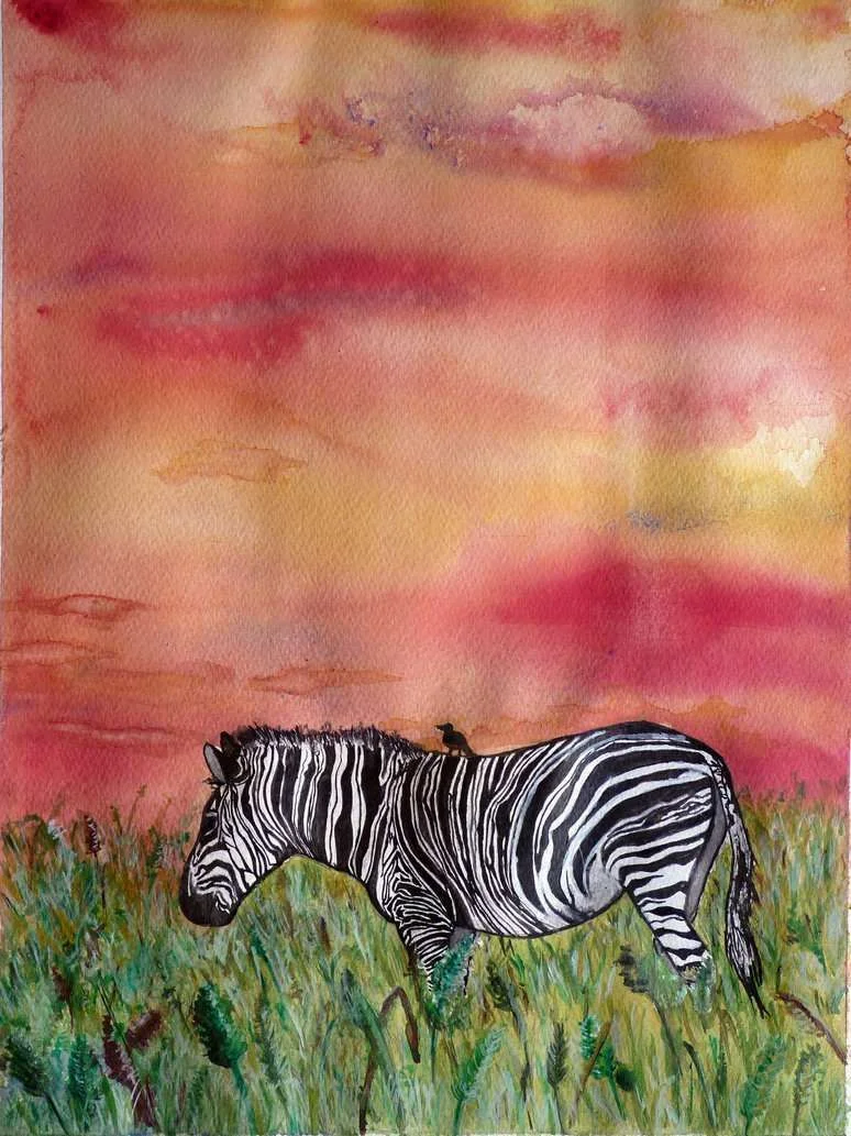 zebra_by_kas-d4fe9v8 (2).webp