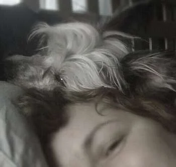 ZhiBedHeadNewSm.webp