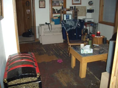 CIMG0335.webp