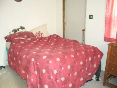 CIMG0337.webp