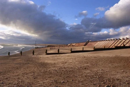 beach.webp