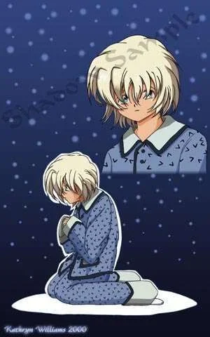 SD013.webp