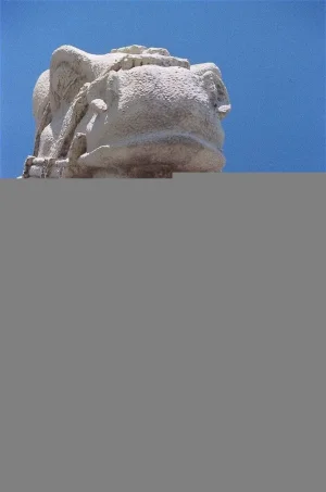 42590014.webp