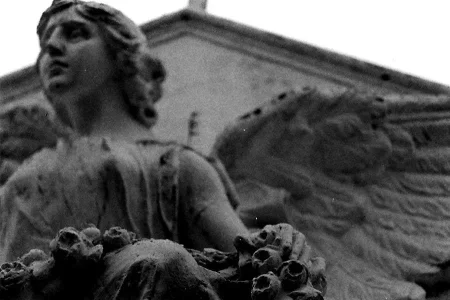 angel 02.webp