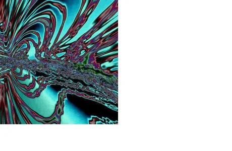 forum crazy.webp