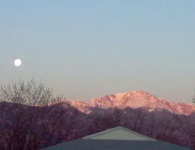 Picture.webp