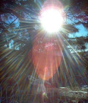 Winter fairy magic 11-15-05.webp