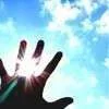 Reach-up-for-the-sunshine.webp