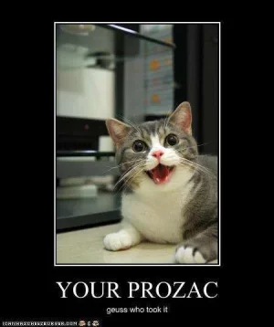 funny.webp