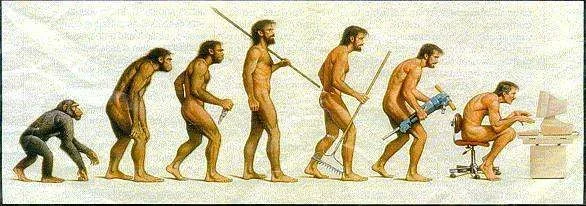evolut.webp