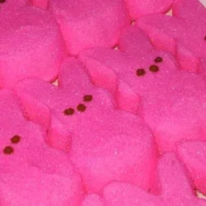 peeps-bunnies.webp