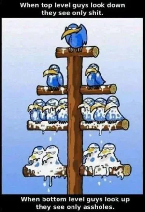 birdquotefunny.webp