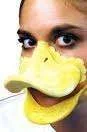 Duck.webp