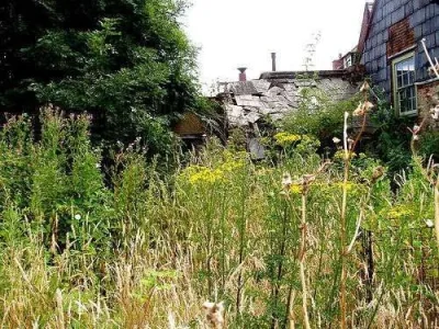 garden.webp