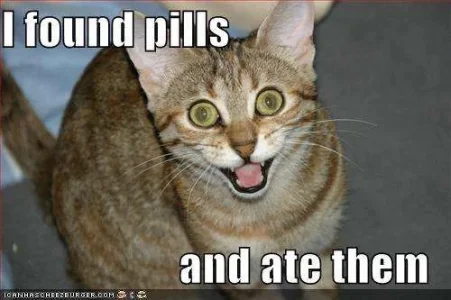 found-pills-ate-them.webp