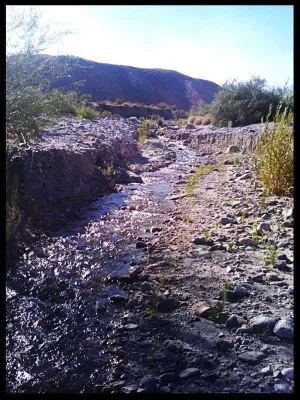 2-mission-creek-upStream.webp