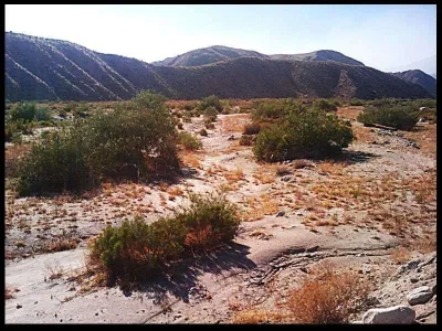 3-mission-creek-arroyo.webp
