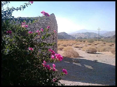 5-mission-creek-flowers.webp
